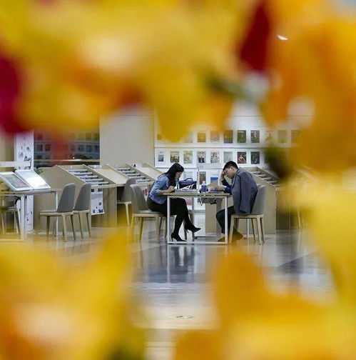 定格滨海新貌，展现文化风采——“最美公共文化服务”系列摄影大赛第二期获奖名单暨摄影扩印服务正式公布